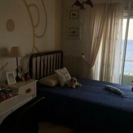 Live Radazul Colon Apartmán *